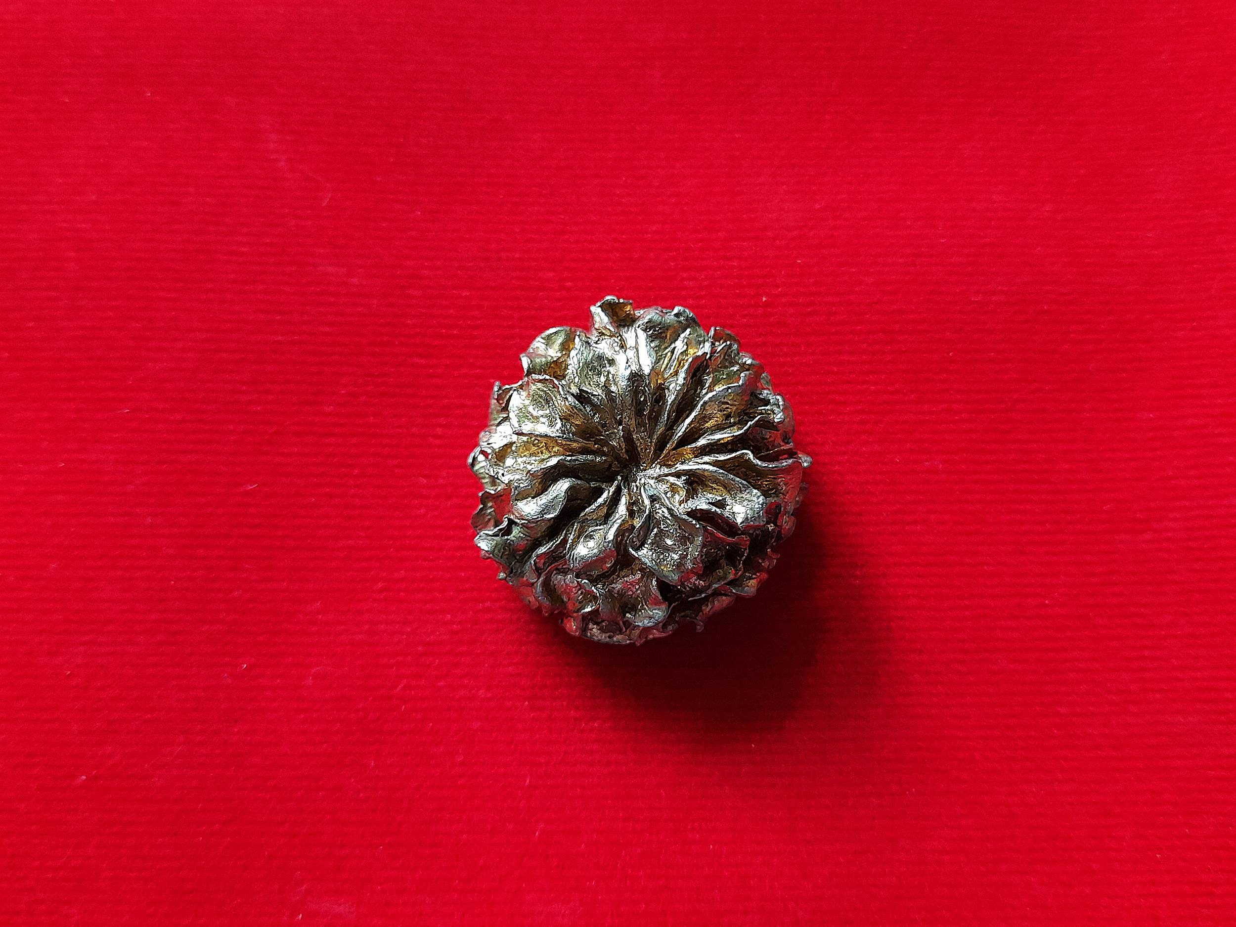 ดอกดาวรวย เนื้อโลหะ บรรจุผงมวลสาร+ตะกรุด+ปลาตะเพียน ปี255X #รับประกันแท้และทัน - หลวงพ่อแป๋ว วัดดาวเรือง (ลูกศิษย์สายตรงที่ทันเรียนวิชากับ หลวงพ่อกวย วัดโฆสิตาราม)