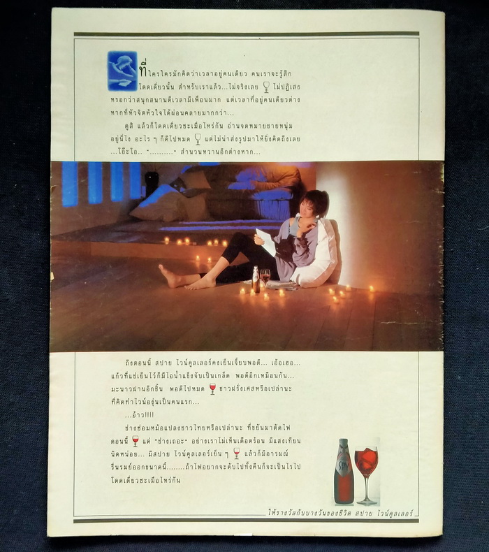 ฟ้าเมืองไทย ปกนักเขียน # 2