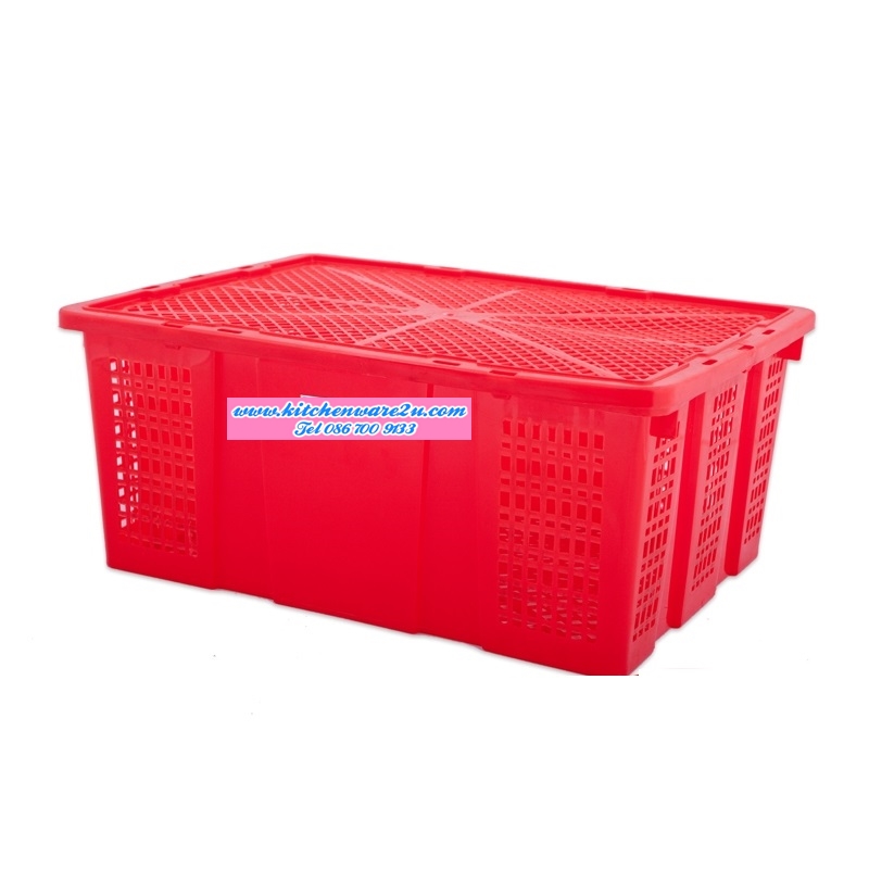 P08825 ตะกร้าผลไม้ฝาปิด ใส่ได้ 10 กิโล (36 x 48.5 x 16 cm.) No.248 (ราคาส่งต่อ 24 ใบ:เฉลี่ย 56 บ/ใบ) (100 ใบขึ้น เหลือ 53 บ/ใบ)