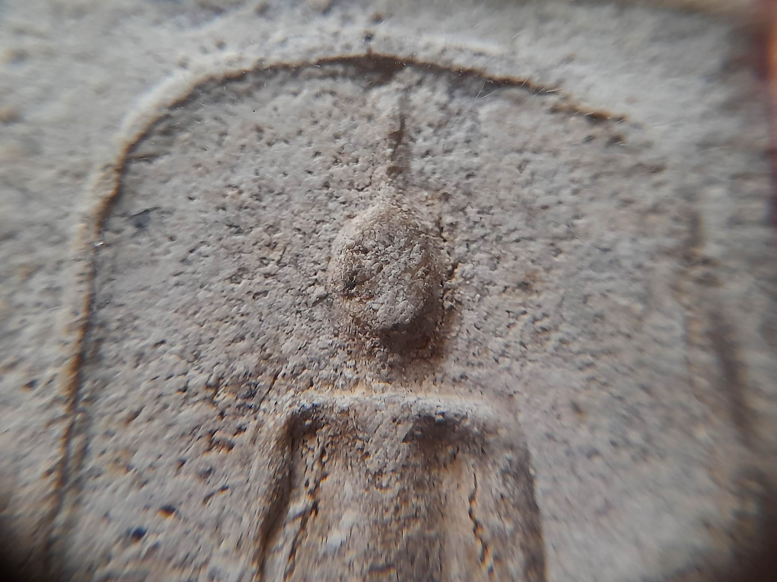 พระสมเด็จ หลังอักษร หลวงพ่อยี เนื้อผงมวลสาร #รับประแท้และทันเสก - หลวงพ่อยี วัดดงตาก้อนทอง จ.พิษณุโลก (ลูกบุญธรรมหลวงปู่เทพโลกอุดร)