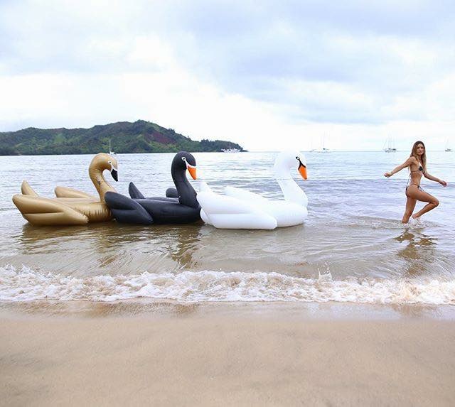 พูลโฟลทหงส์สุดหรู Giant Swan (Gold)
