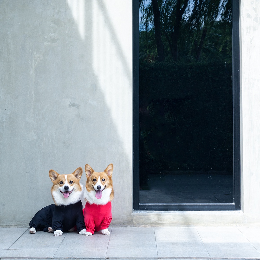CH3 CHUBBIES NylonDEVIL Red-Black UPF50+ Onesies ชุดกันขนร่วงสัตวเลี้ยง เสื้อสุนัข กันขนร่วงหมาในบ้าน รถ ป้องกันเลียแผล