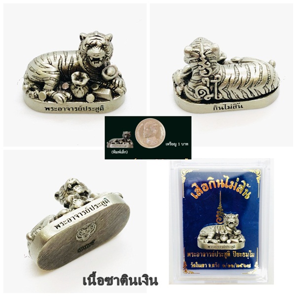 เสือกินไม่สิ้น เนื้อซาตินเงิน พระอาจารย์ประสูติ วัดในเตา จังหวัดตรัง
