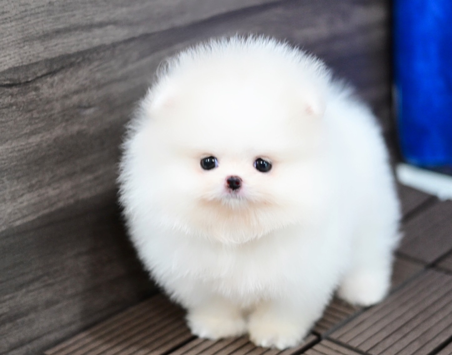ย้ายบ้านแล้ว