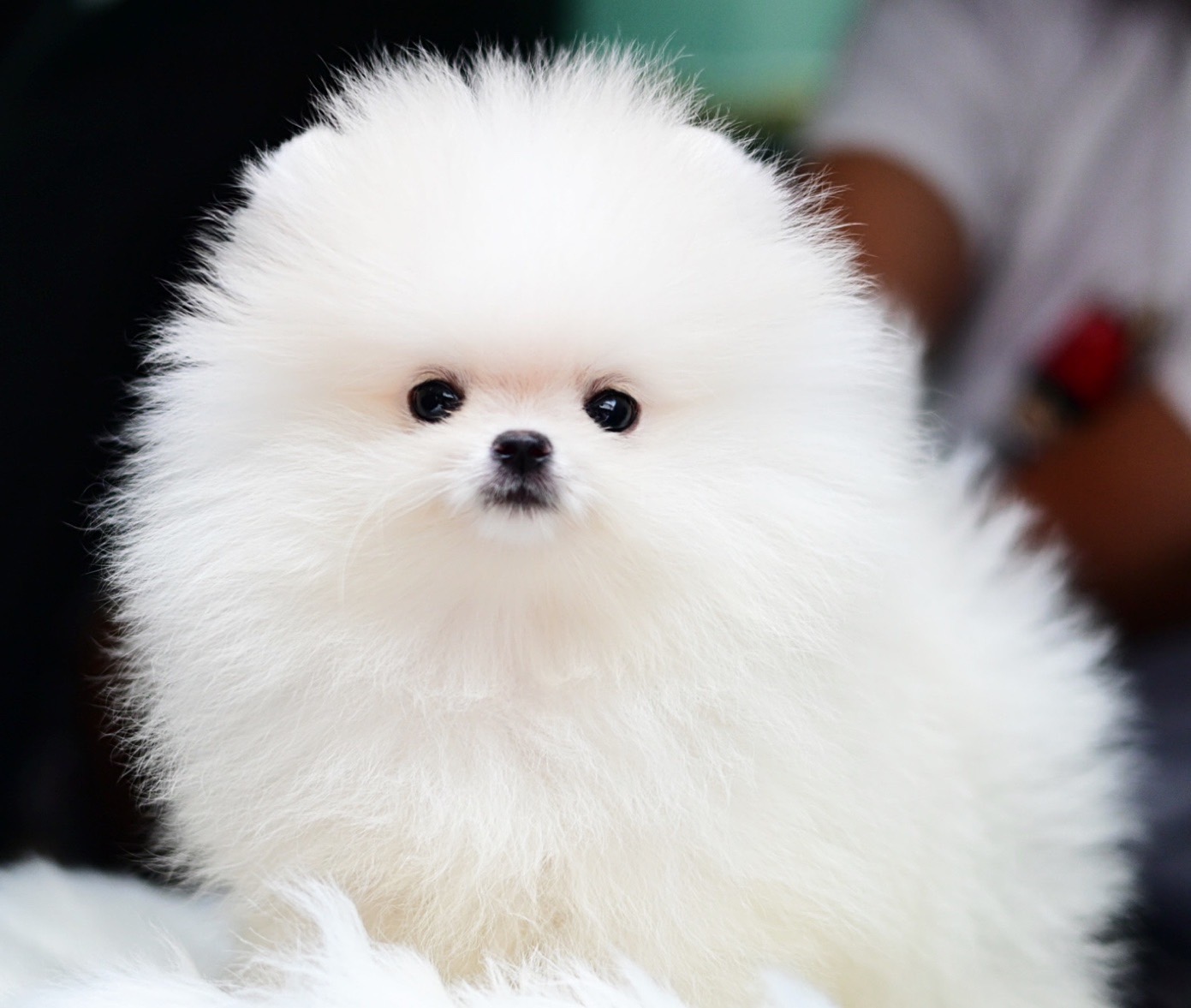 ย้ายบ้านแล้ว