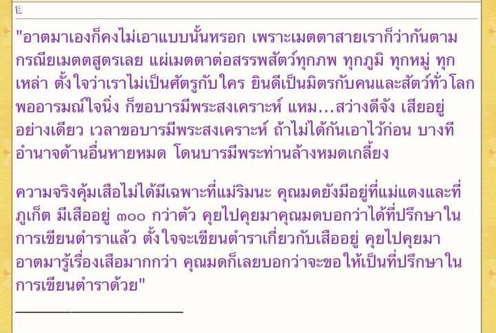 หัวเสือ ลูกอม เนื้อโลหะผิวรุ้ง (#พิธีพยัคฆ์บารมี #เป็นเมตตาและอำนาจ) พ่อปู่ฤาษีเจ้าสมิงพรายสงเคราะห์ ปี2563 - หลวงพ่อเล็ก วัดท่าขนุน