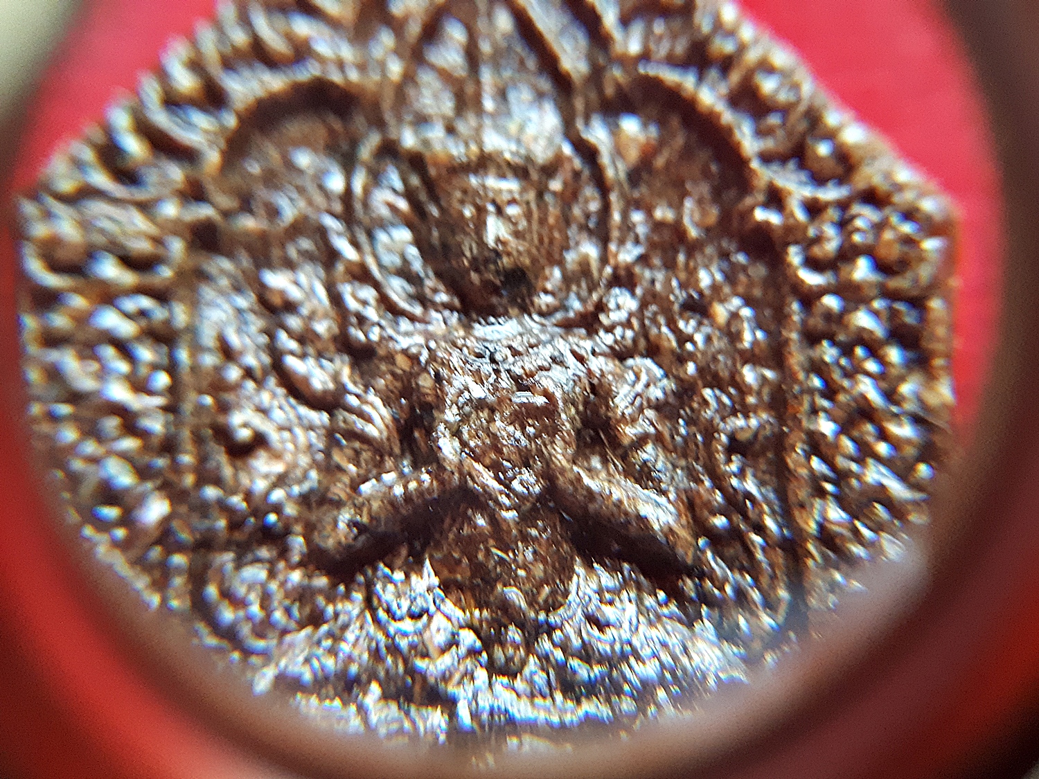 ขุนแผน มนต์พ่อเนื้อหอม พยัคฆ์ติดปีก(เพชรพญาธร) (องค์กรรมการ เนื้อผงผสมว่านต่างๆ ฝังตะกรุดสีเงิน 1ดอก) ปี2563 - ปู่จุก จอมอาคม