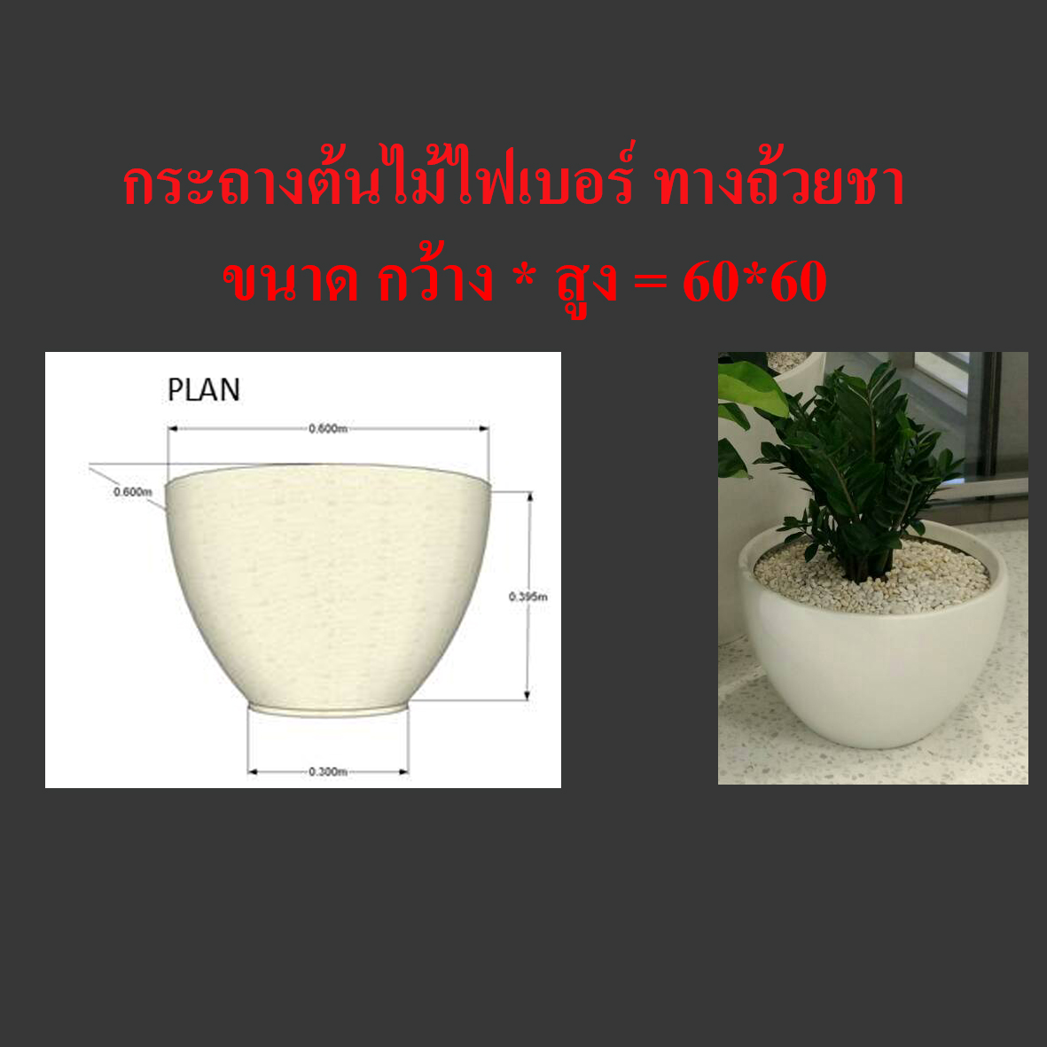 กระถางต้นไม้ไฟเบอร์กลาส ทรงถ้วยชา