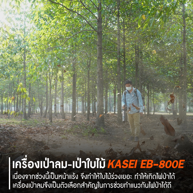 เครื่องเป่าลม-เป่าใบไม้ KASEI รุ่น EB-800-E