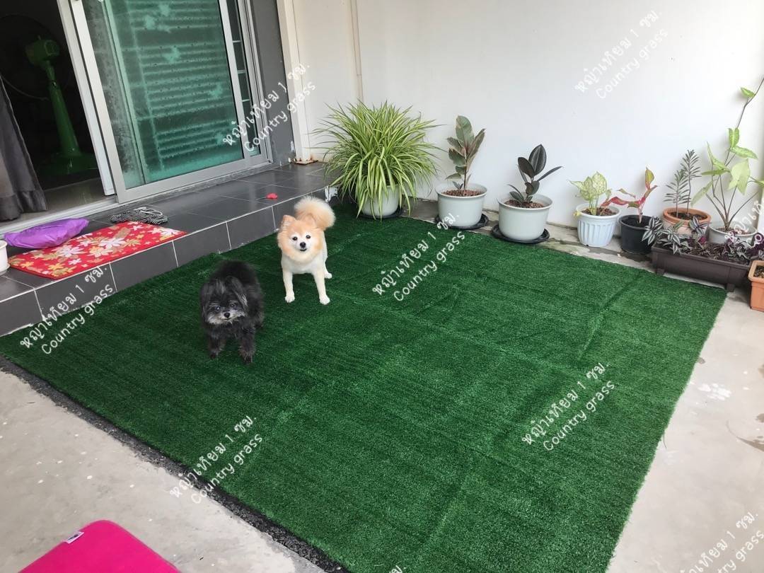 หญ้าเทียม 1ซม. เกรดเอ แบบหนา ขนฟู หนาแน่นถึง 40ฝีเข็ม ขนาด 2x25 เมตร ปูพื้น สำหรับแต่งสวน สีสันสดใส สีเหมือนหญ้าจริง จัดสวน แต่งบ้าน