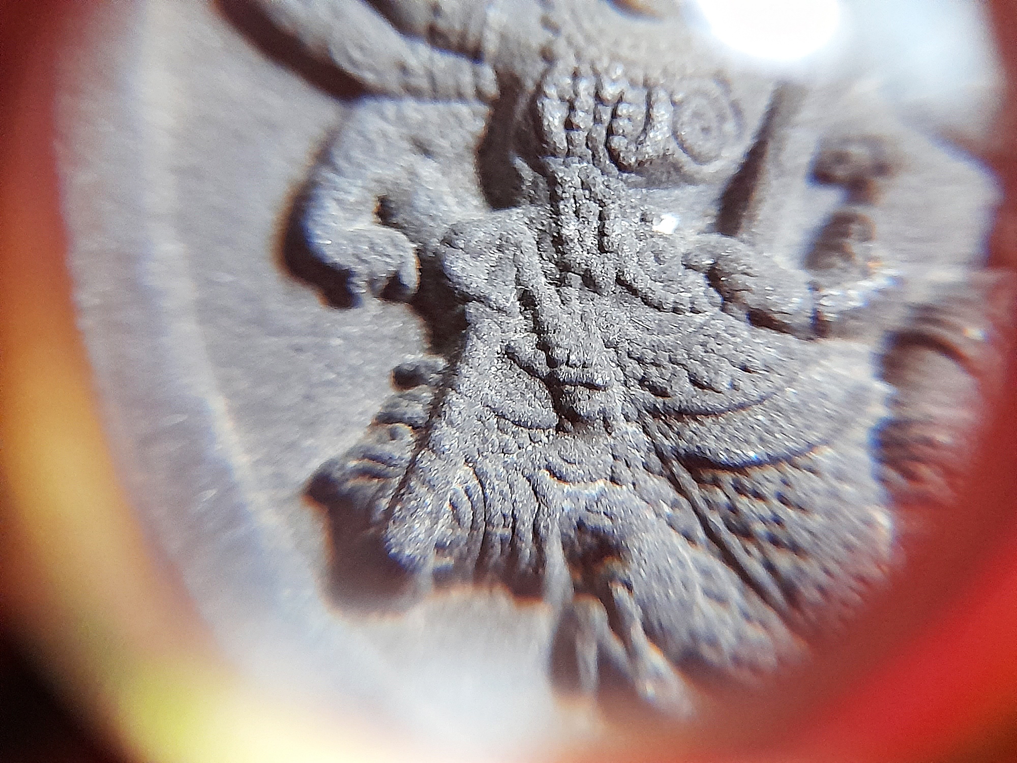 เหรียญ หนุมาน8กร (รุ่นนี้เก่งทางช่วยหาเงิน) เนื้อผง ปี2562 #รับประกันแท้ - พระอาจารย์สุริยัณ วัดป่าฉัพพรรณรังสี จ.ชัยภูมิ