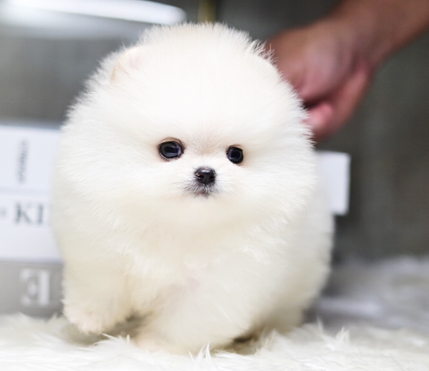 ย้ายบ้านแล้ว