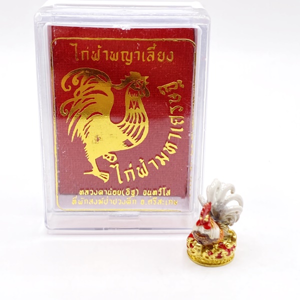 ไก่ฟ้าพญาเลี้ยง ไก่ฟ้ามหาเศรษฐี (เนื้อทองทิพย์ลงยาสีอีนาเมลหางขาว) หลวงตาน้อย สำนักสงฆ์ป่าปวงตึก หลวงปู่ศิลา (หลวงปู่มหาศิลา)