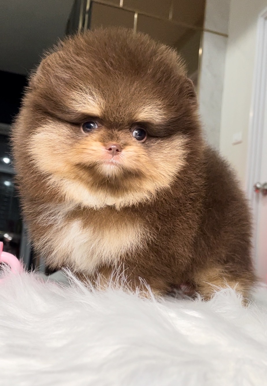 ย้ายบ้านแล้ว ผช