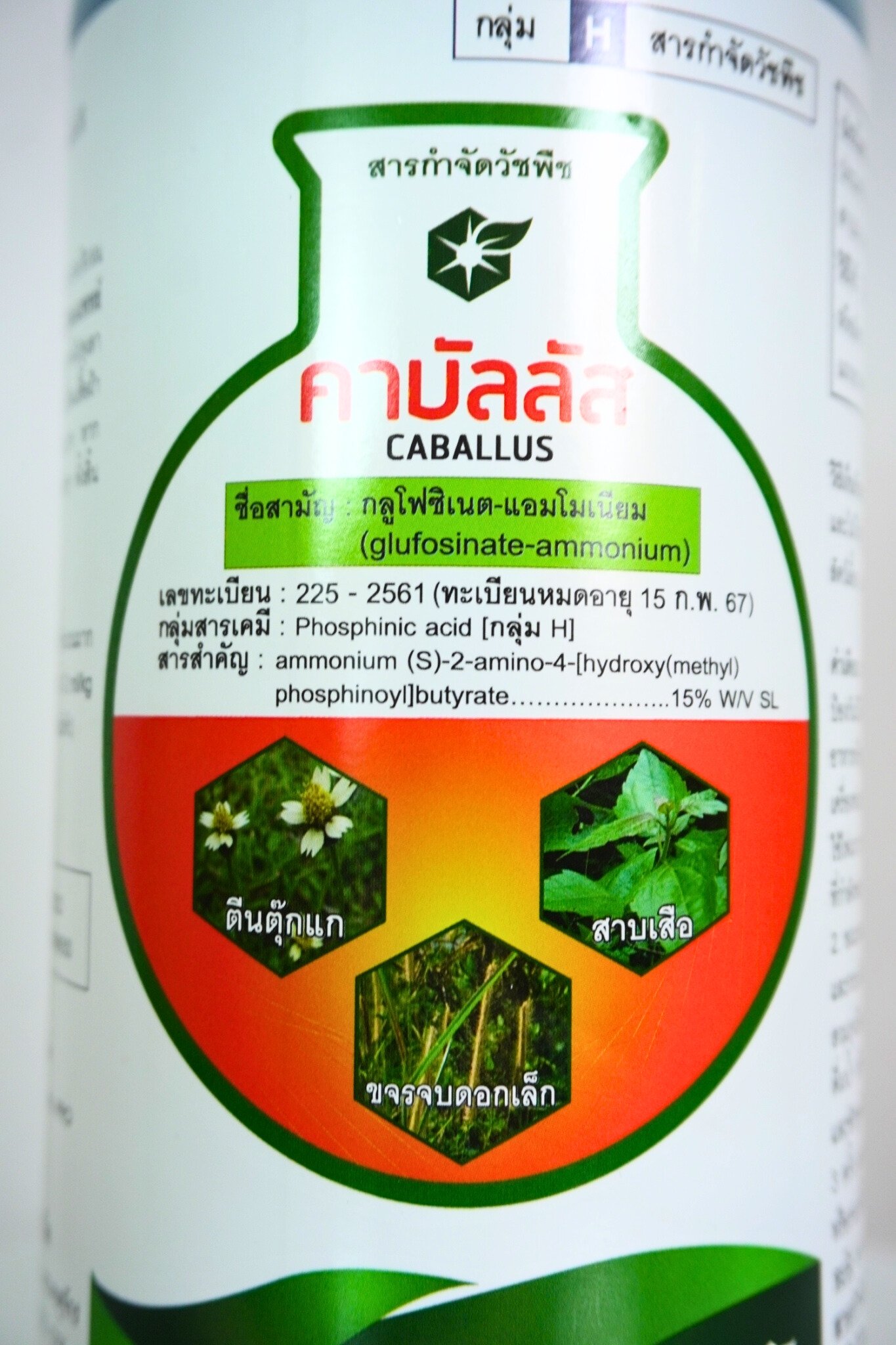 คาบัลลัส