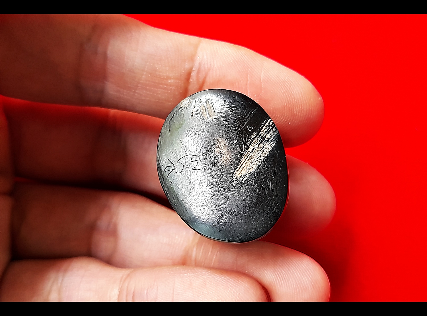 เสือ เขาควาย ตัวใหญ่(แกะสลักจากเขาควายแท้ บรรจุอุดกริ่งในตัวเสือ) - หลวงพ่อกวย วัดโฆสิตาราม(วัดบ้านแค) จ.ชัยนาท ปี2561 - #สร้างและปลุกเสกจากวัดโฆสิตาราม #รับประกันแท้