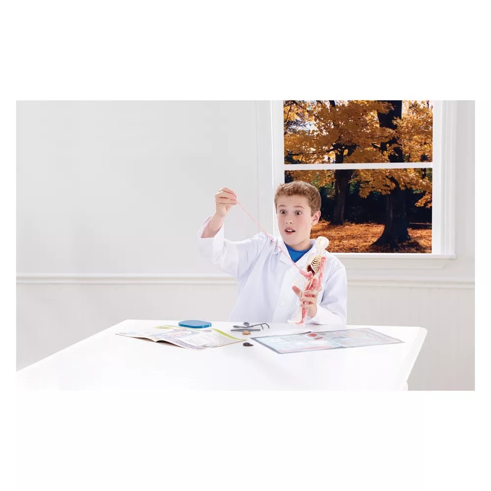 ชุดจำลองกายวิภาคเสมือนจริง SmartLab Squishy Human Body
