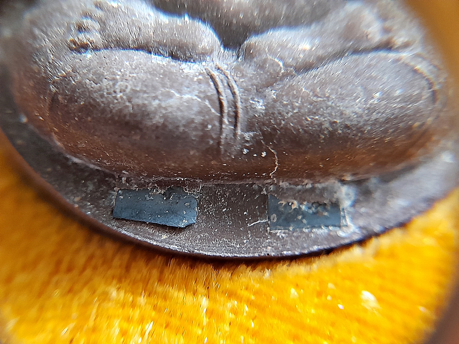 พระปิดตา จัมโบ้ ชุดพิเศษ5องค์ #ตะกรุดทองคำแท้ #ตะกรุดเงินแท้ (โรยมวลสารผงเก่าบางขุนพรหม โรงผงเก่าหลวงปู่โต๊ะ วัดพระดูฉิมพลี) ปี2540 #รับประกันแท้ - ทันยุคปลุกเสกโดย หลวงปู่คง หลวงพ่อคูณ หลวงปู่แสง หลวงปู่ทอง หลวงพ่อพูล หลวงปู่ทิม หลวงปู่จอย หลวงพ่อรวย หลว