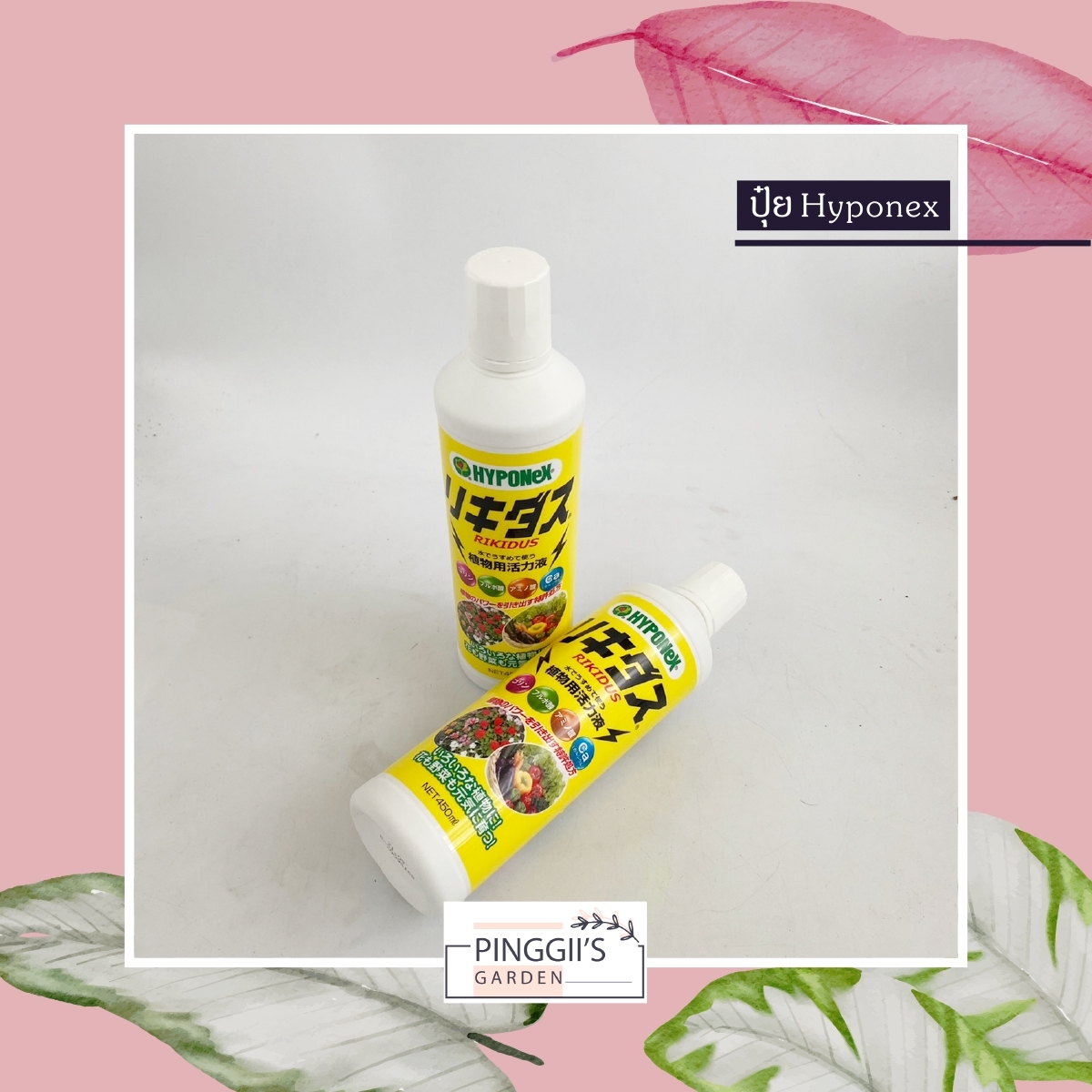 ปุ๋ยน้ำ HYPONEX (ขวดเหลือง) 450Ml. ปุ๋ยน้ำ ชีวภาพคุณภาพสูง ธาตุอาหารรอง บำรุงรากพืชให้แข็งแรง นำเข้าจากญี่ปุ่น ของแท้100%