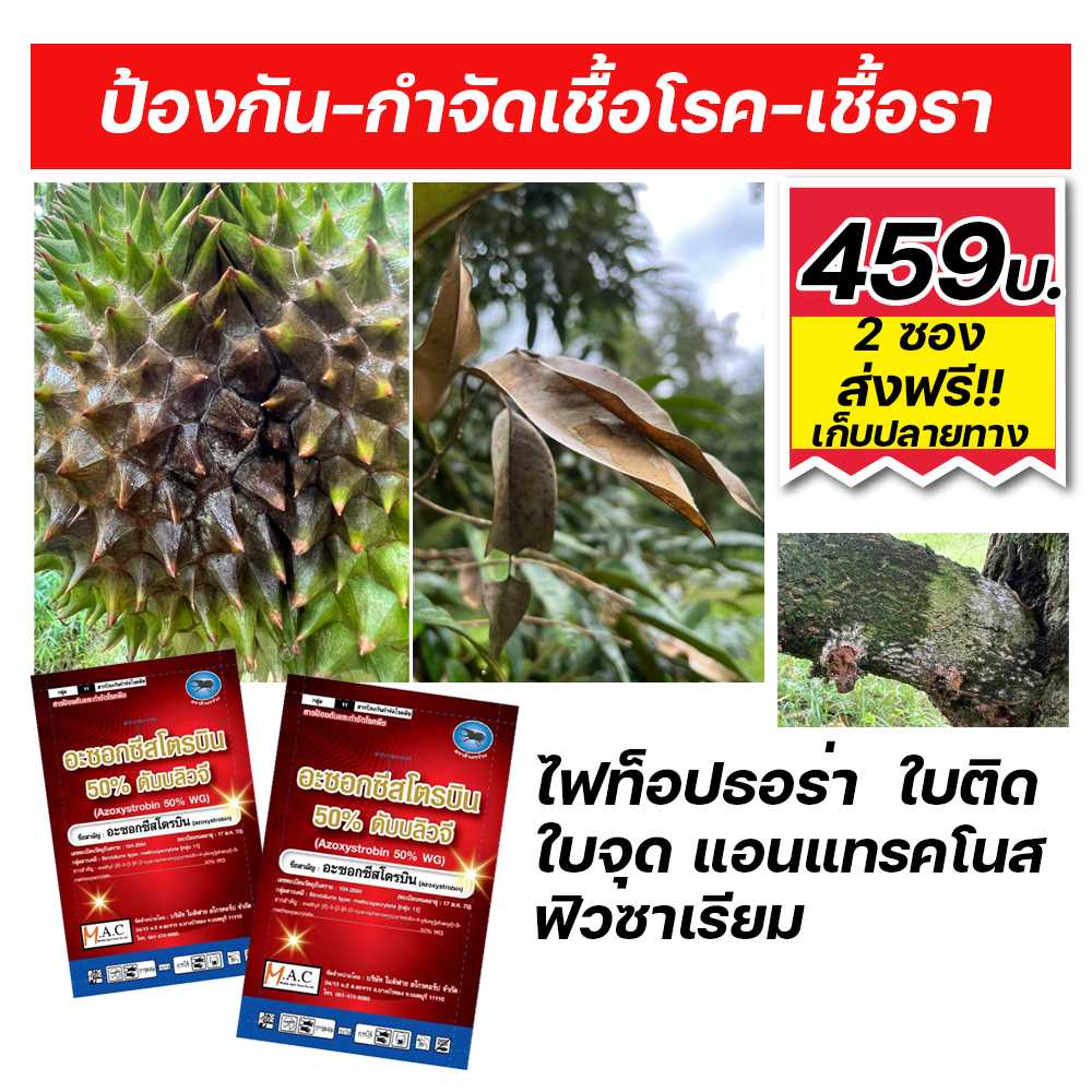 สารป้องกันกำจัดเชื้อรา สูตรเย็น ชนิดผง อะซอกซี่สโตบิน ขนาด 100 กรัม X 2 ซอง