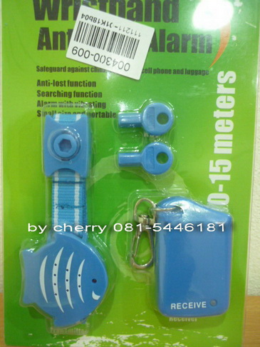 สายรัดข้อมือป้องกันเด็กหาย,ผู้ช่วยตนเองไม่ได้,สิ่งของสำคัญ