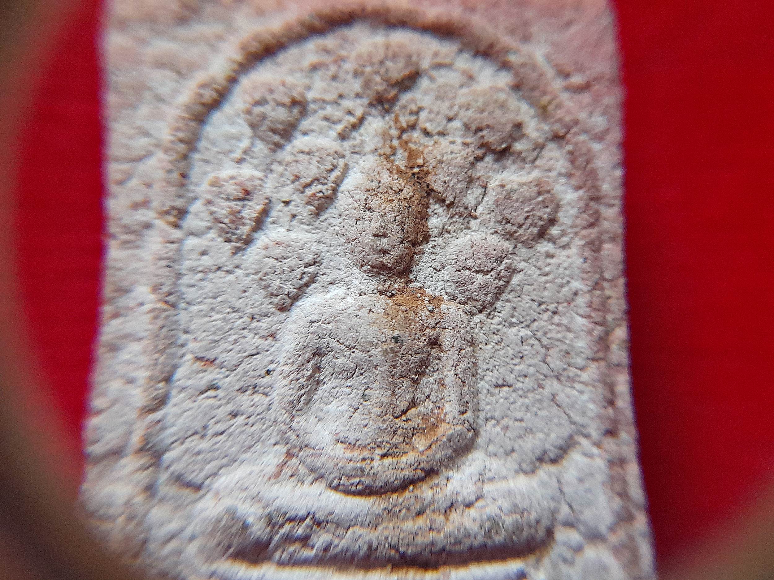 พระปรกโพธิ์ ร่มเย็นเป็นสุข หลัง เต็มองค์หลวงพ่อทรง วัดศาลาดิน จ.อ่างทอง เนื้องผง(ผสมเกศาเส้นผมหลวงพ่อทรง) #รับประกันแท้และทัน