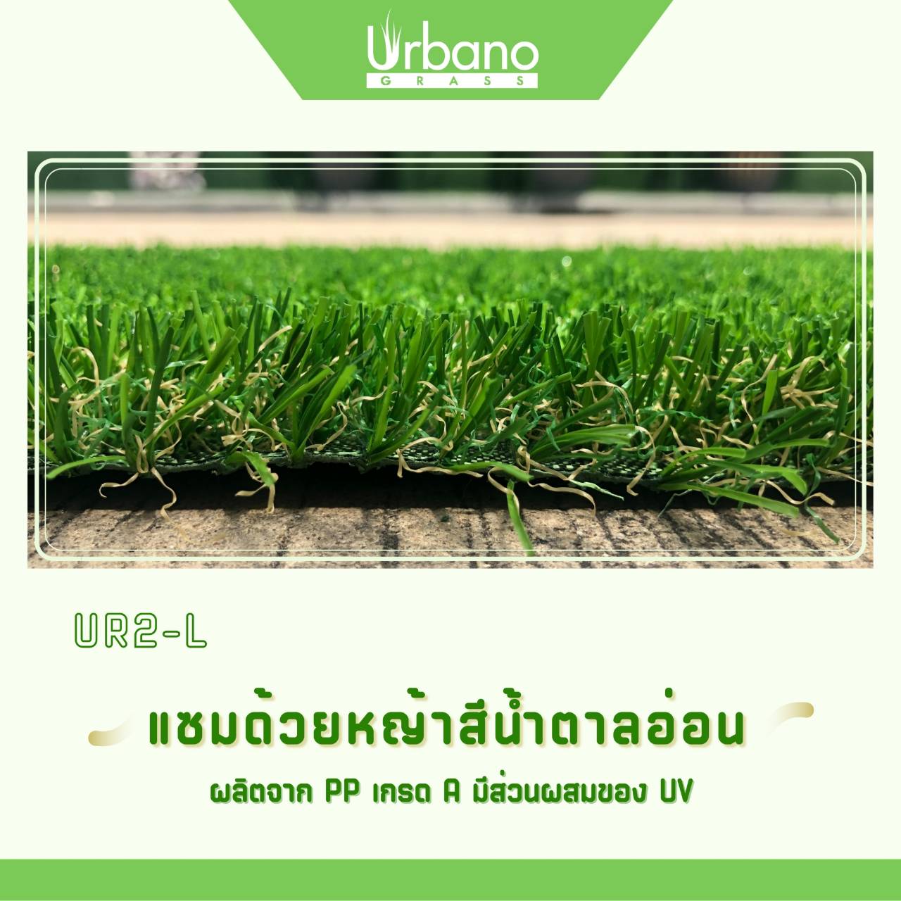 หญ้าเทียม รุ่น 2 cm.สีเขียมแซมน้ำตาล เกรดพรีเมี่ยม Urbano Grass เออบาโน่กร๊าส สำหรับแต่งสวน