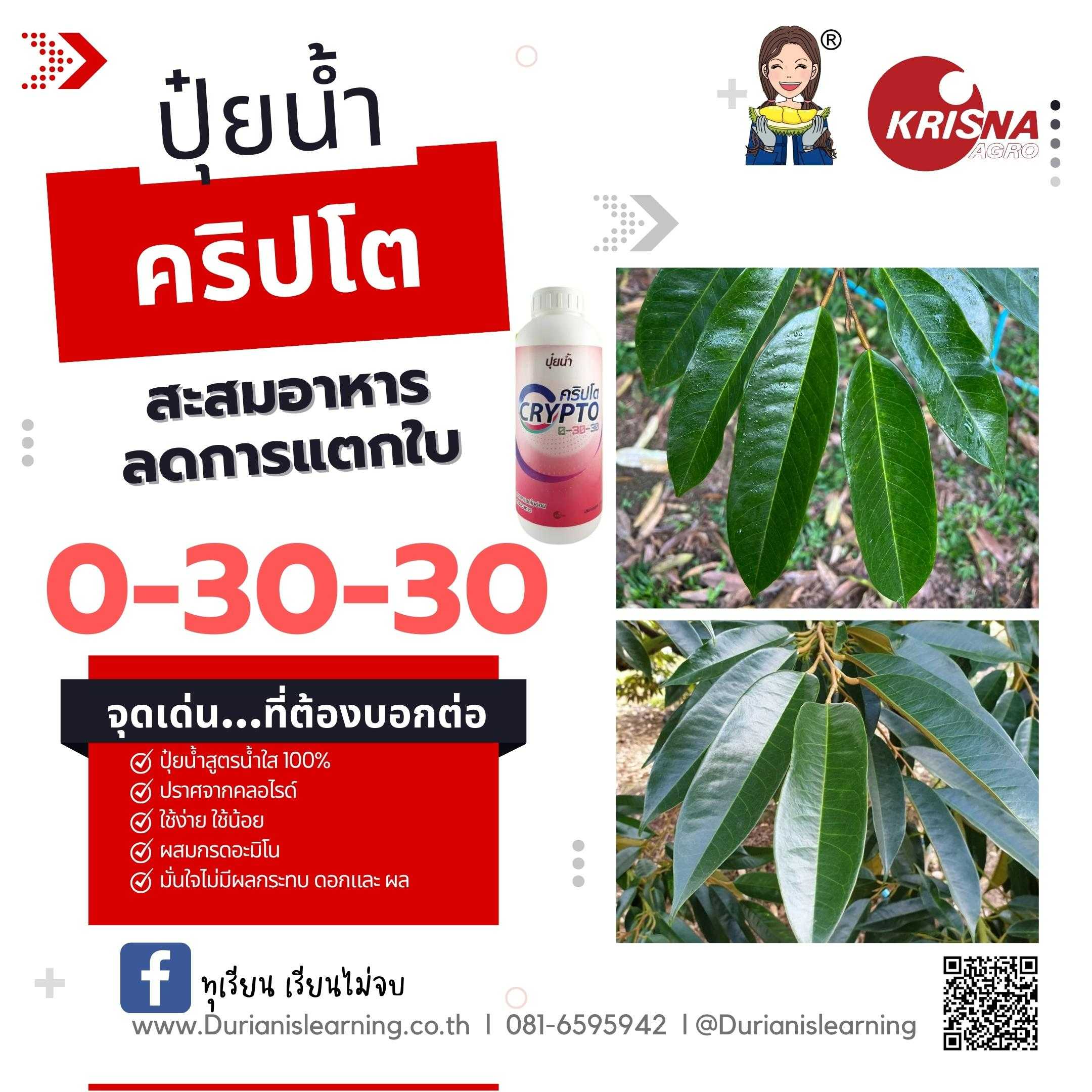 ปุ๋ยน้ำ สูตร 0-30-30 สะสมอาหาร หยุดการแตกใบ ใบเขียวเข้ม ใบมัน
