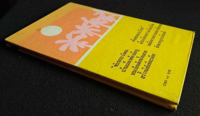 เด็กชายดวงเข้าเมือง (ปกแข็ง)