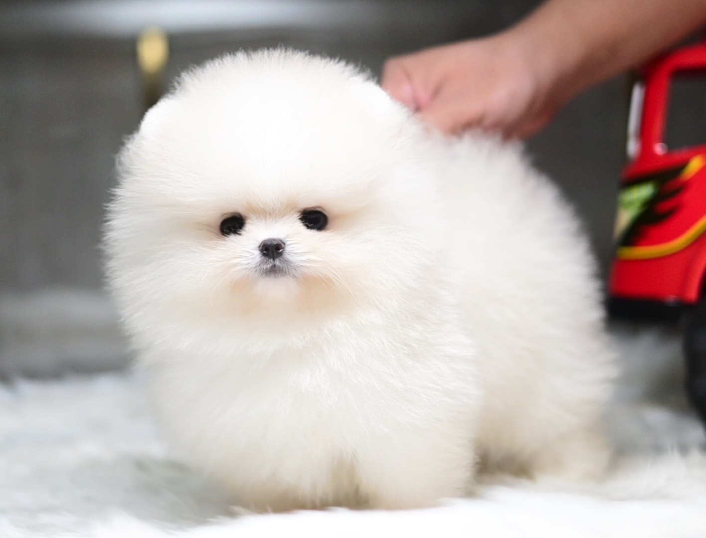 ย้ายบ้านแล้ว