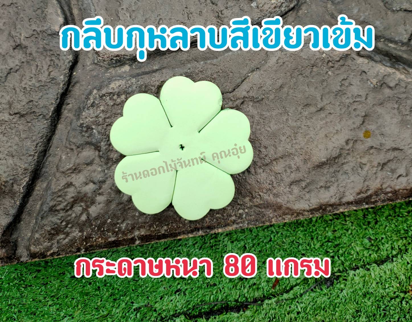 กลีบดอกไม้จันทน์กุหลาบ กลีบกุหลาบ กลีบกุหลาบสีเขียวเข้ม กลีบกุหลาบเขียวเข้ม กลีบกุหลาบทิพย์ ดอกไม้จัน กลีบดอกไม้จันทน์กุหลาบสีเขียวเข้ม
