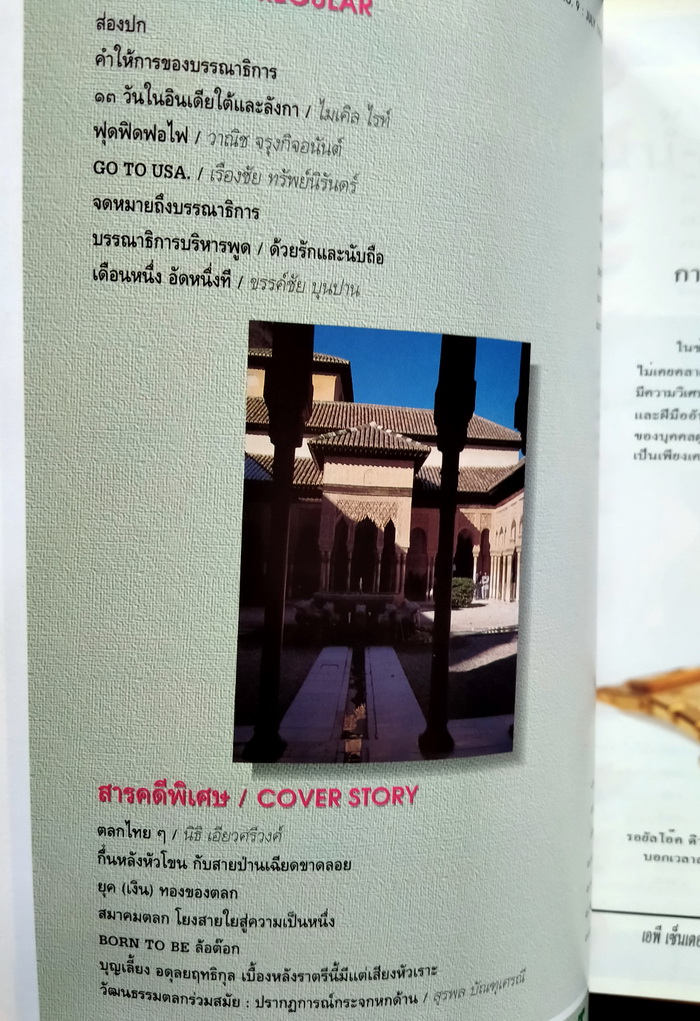 ศิลปวัฒนธรรม ปีที่ 17 ฉบับที่ 9