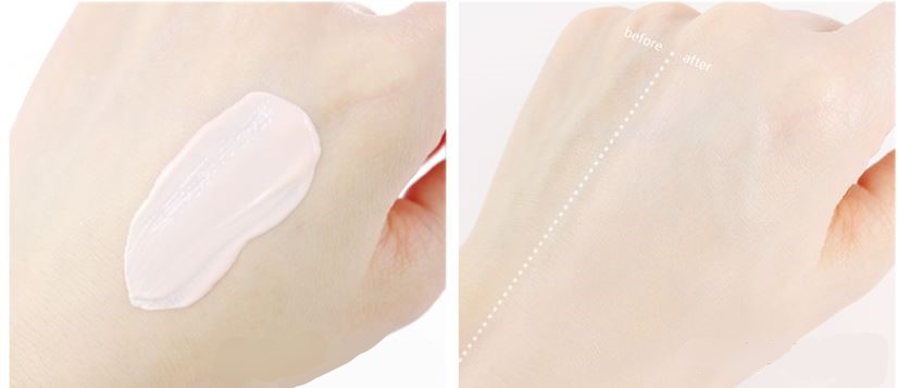 (ฉลากไทย) Round Lab 365 Tone-Up UVA UVB SPF50+ PA+++ 50mL ครีมกันแดดโทนอัพ ปรับผิวให้กระจ่างใส พร้อมปกป้องแสงแดงสูงสุด 50 เท่า