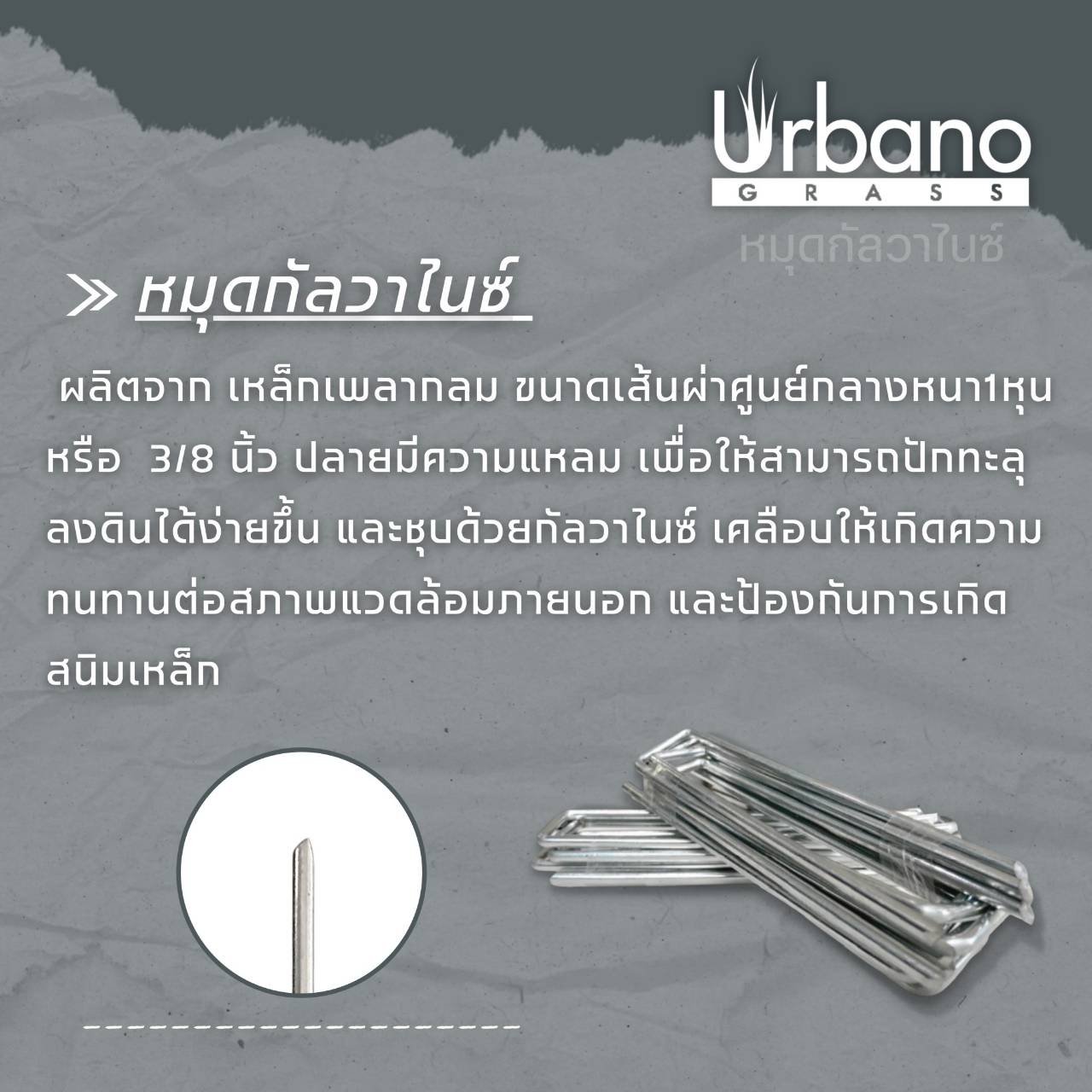 เหล็กเสียบปักหญ้าเทียม ปักคลุมพลาสติก เหล็กปักพลาสติก หนา 3มิล เหล็กกัลวาไนท์ แพคละ 10 ตัว เหล็กยึดหย่า หมุดปักหญ้าเทียม ( รวมส่ง )