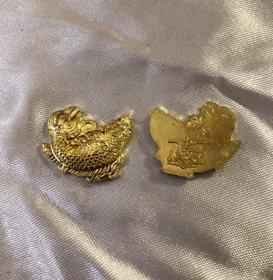 เหรียญปลาอานนท์ (พลิกชีวิตหนุนเสริมดวงชะตา ร้ายกลายเป็นดี) รุ่นแรก ปี2561 #รับประกันแท้ - (หลวงพ่อเล็ก วัดท่าขนุน หลวงพ่อใจ วัดพระยาญาติ ปลุกเสก)