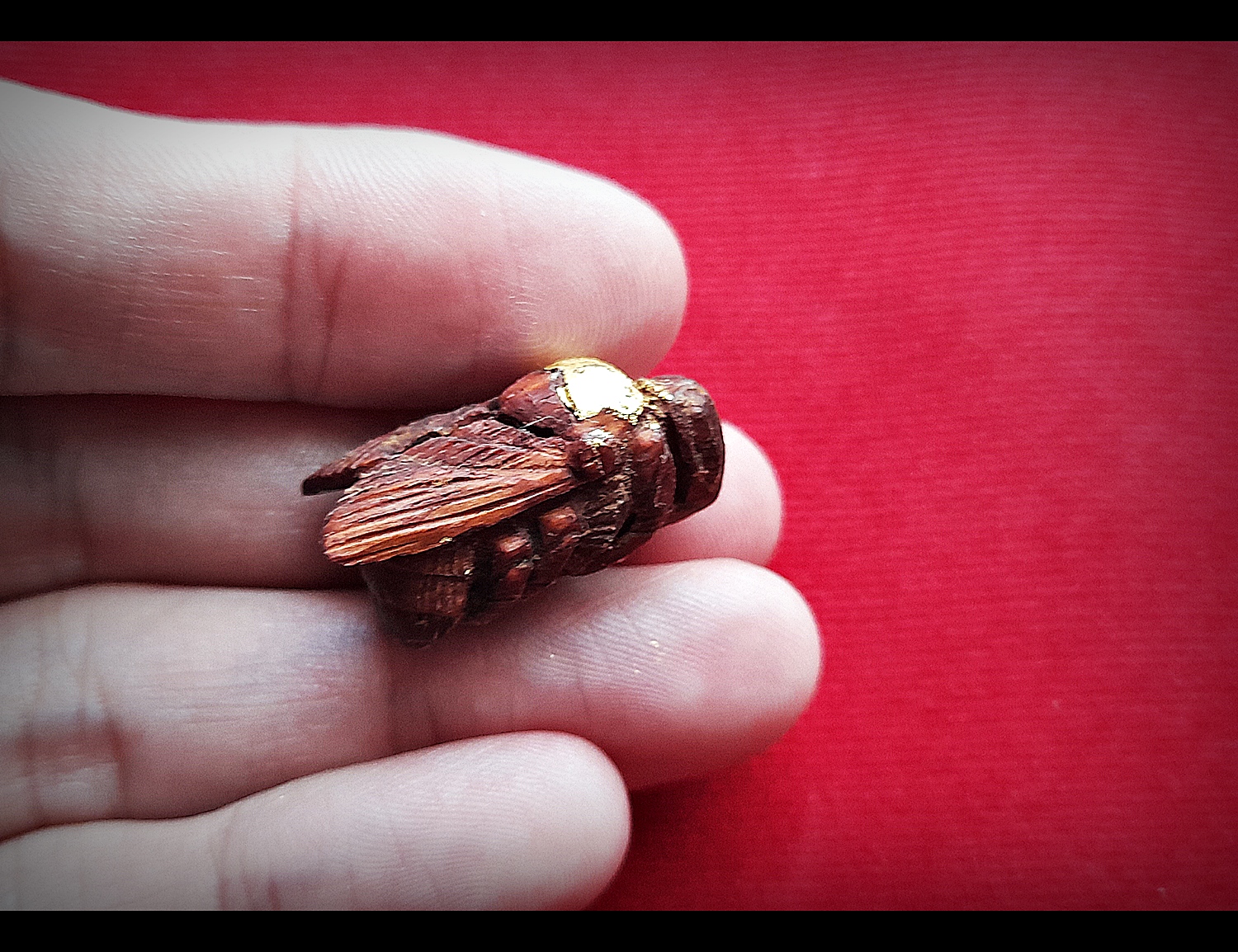 แมลงภู่ (แมงภู่ แมงบู๊) แกะสลัก เนื้อไม้ดุมล้อเกวียน ฝั่งเข็มบรรจุด้วยปรอทป่าแท้ ปี2563 #รับประกันแท้