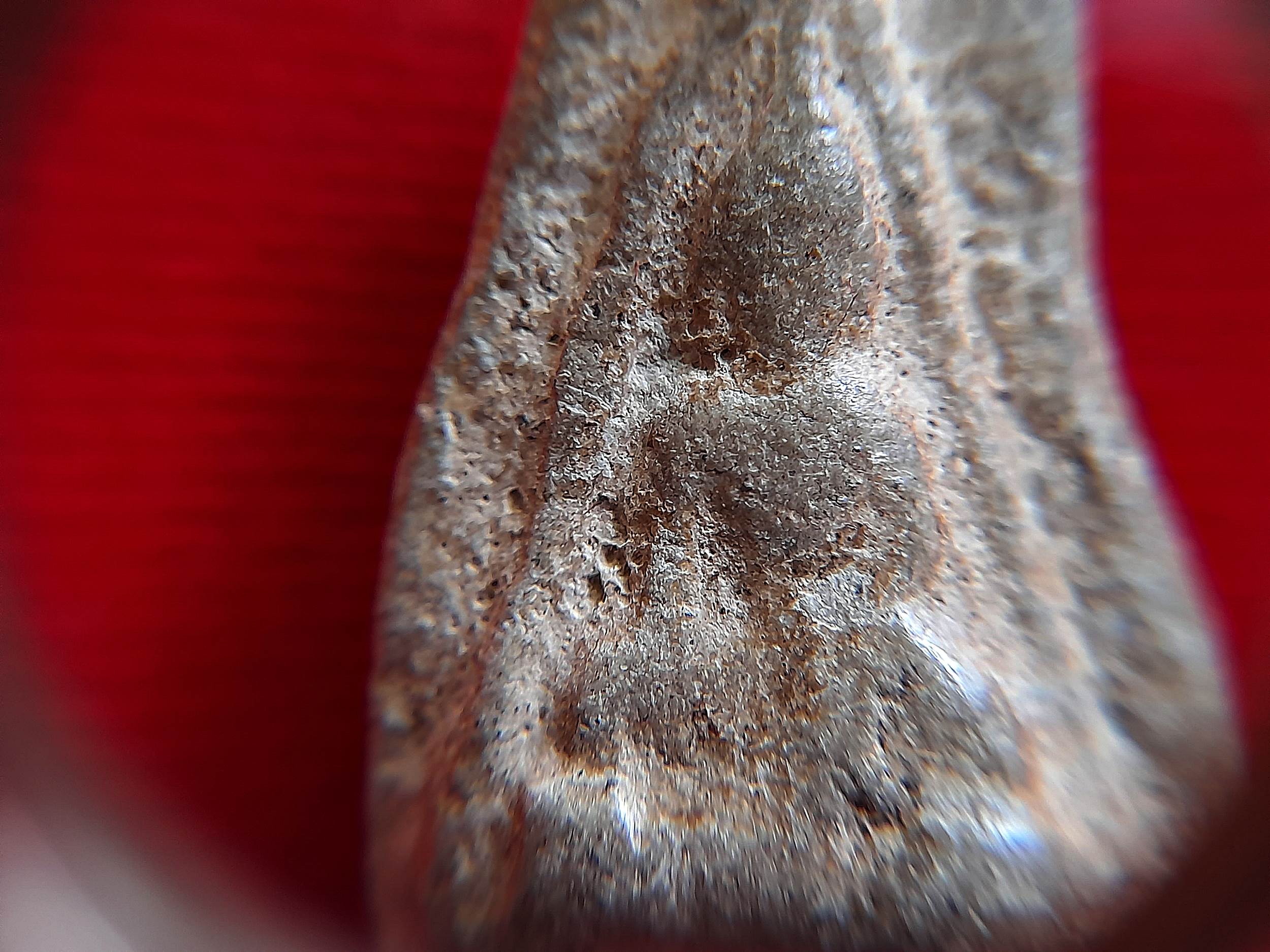 พระนางพญา พระกรุ ดอนลาน (พระแตกกรุเก่าโบราณ) กรุ พิมพ์ เดียวกันกับ ที่ หลวงปู่ เดินหน อิเกสาโร เชิญมา #รับประกันแท้ - มีลงในหนังสือ