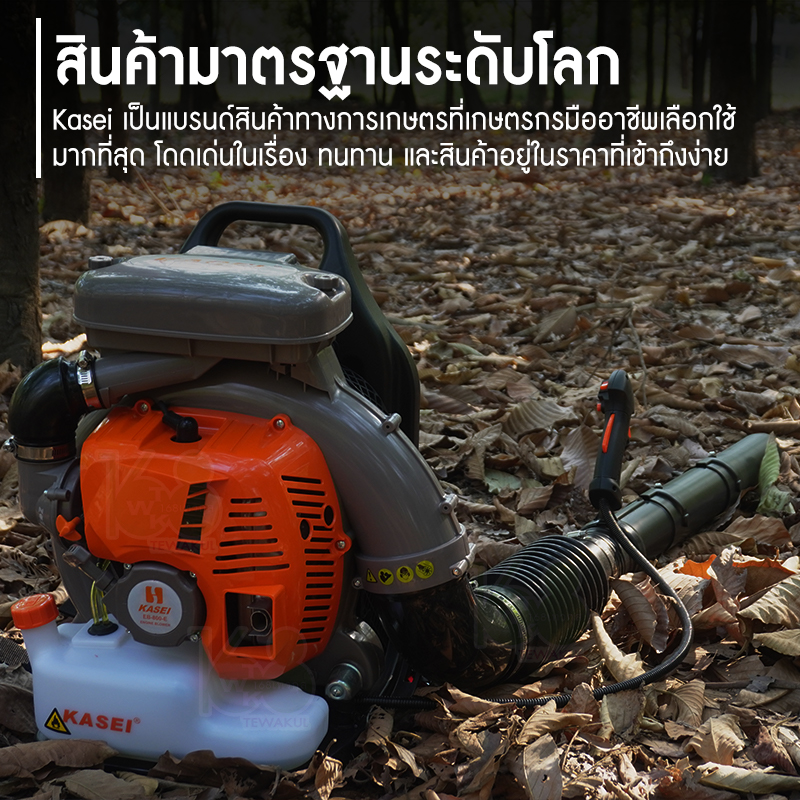 เครื่องเป่าลม-เป่าใบไม้ KASEI รุ่น EB-800-E