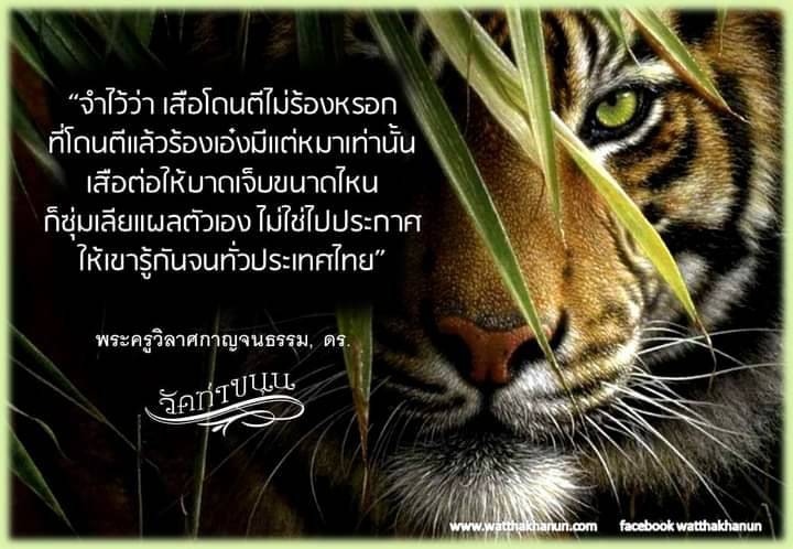 สีผึ้ง เสือ (#พิธีพยัคฆ์บารมี #เป็นเมตตาและอำนาจ) พ่อปู่ฤาษีเจ้าสมิงพรายสงเคราะห์ ปี2563 #รับประกันแท้ - หลวงพ่อเล็ก วัดท่าขนุน