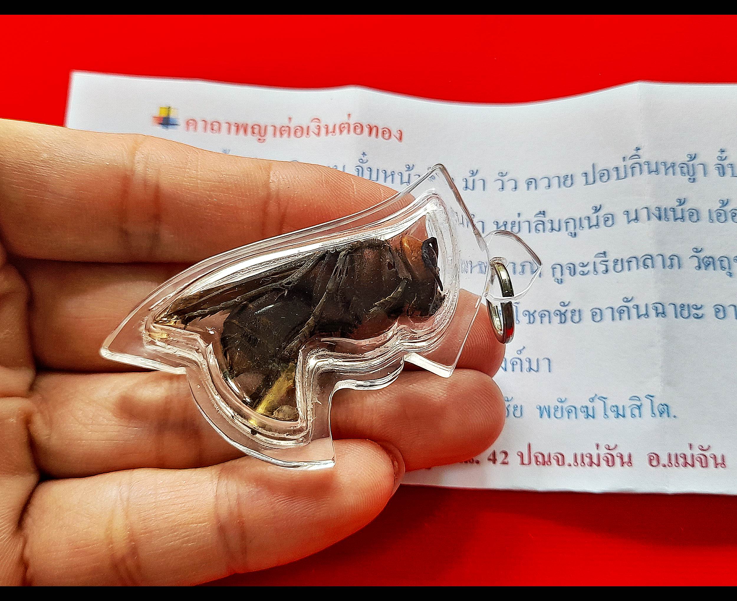 พญาต่อเงินต่อทอง (ใช้ ตัวต่อจริงที่ตายแล้ว) + ตะกรุดเรียกเงินเรียกทอง + เม็ดธาตุกายสิทธิ์เหล็กไหลเงินคำ ปี2560 (อานุภาพ เรียกเงิน โชคลาภ ค้าขาย เจรจา) #รับประกันแท้ - พระครูบาเหนือชัย (พระขี่ม้า)