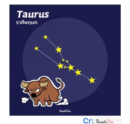 แบบแหวนดาวดาวปรำจำราศีพฤษภ Taurus
