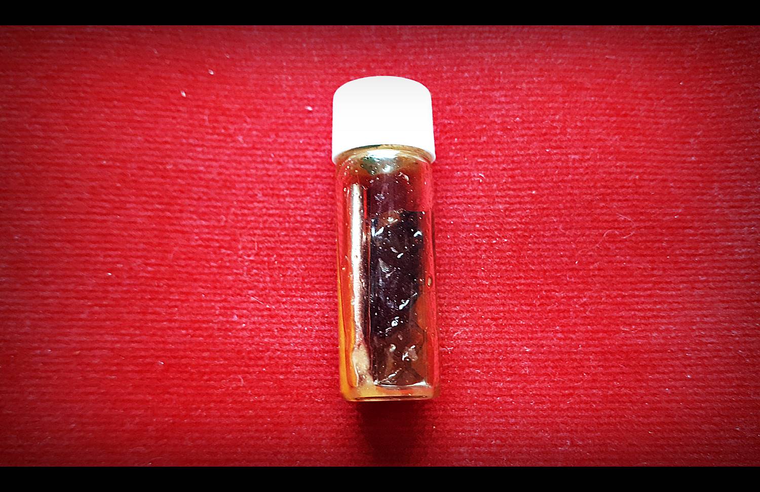 เดื่อยงูเหลื่อม - สำนักบ้านกุหลาบราชันย์ ปี2559-2560