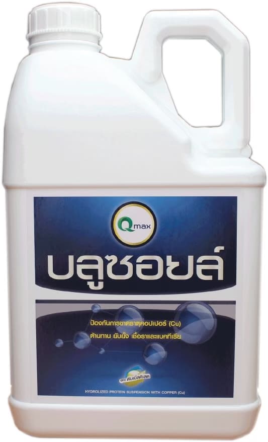 บลูซอยล์ (5,000 ซี.ซี.)