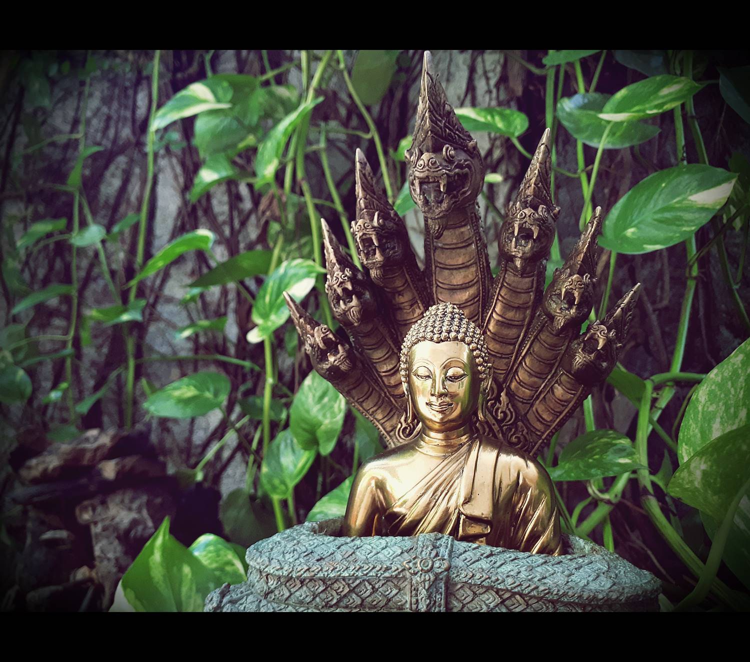 รูปหล่อ พระพุทธเจ้า ปางพระนาคปรก (พญานาค7หัว) เนื้อทองเหลือง ปี2562 (พระหน้าตัก5นิ้ว ฐาน7นิ้ว สูง8นิ้ว) (เทคนิคสำสีเก่า แยกส่วนประกอบได้) #รับประกันแท้ หลวงพ่อเล็ก วัดท่าขนุน ร่วมพิธีปลุกเสกรวมพระลูกศิษย์ในสายของหลวงพ่อฤาษี วัดท่าซุง ณ วัดเขาวงศ์ จ.สระบุร