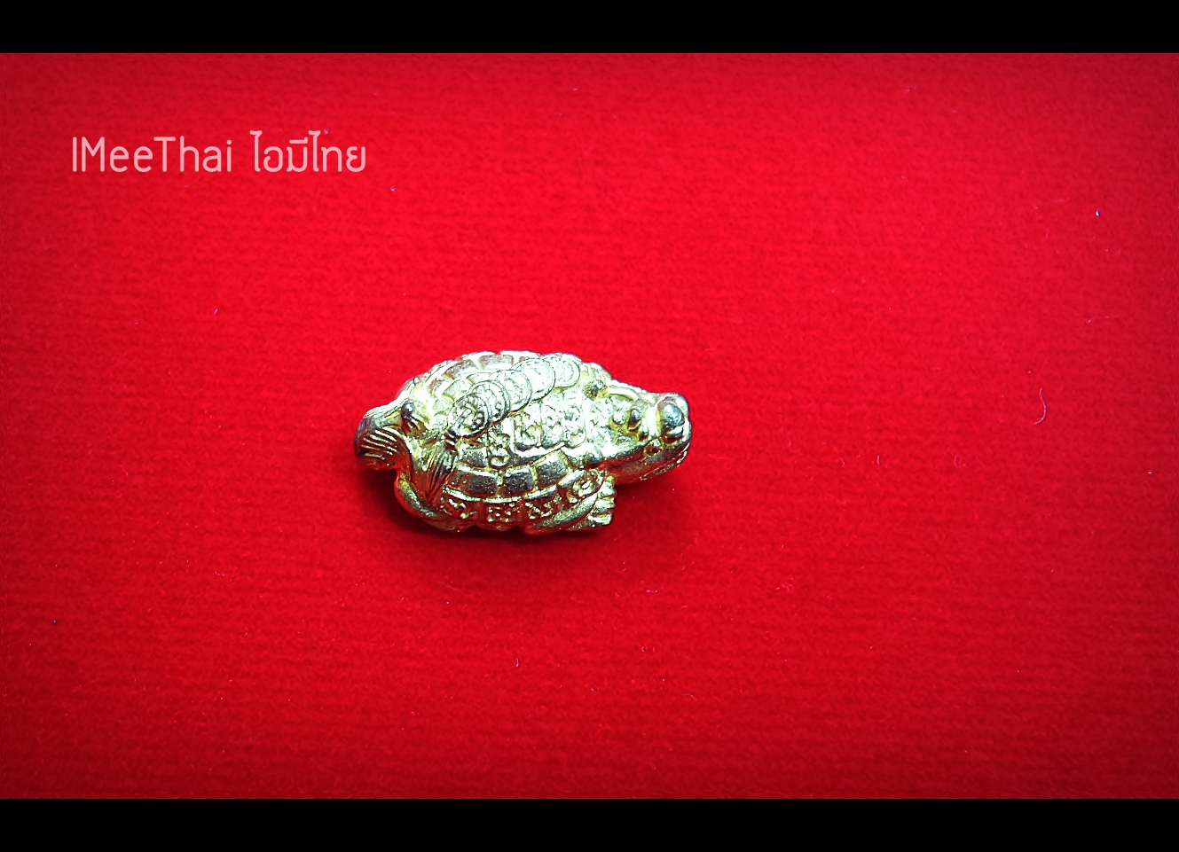 เต่ามังกร (ขนาดพกพา) ปี2557 #รับประกันแท้ - พระอาจารย์หนุ่ม วัดบางแวก