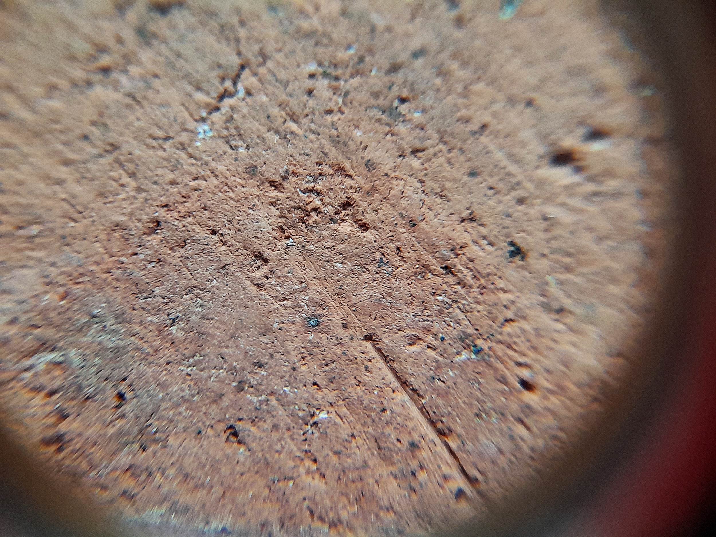 พระสมเด็จ ฐาน9ชั้น เนื้อดินกระเบื้องหลังคาโบสถ์ (แคล้วคลาด มหาอุต คงกระพัน) ปี2521 #รับประกันแท้และทัน - หลวงพ่อพุฒ สารสุข(ศิษย์หลวงปู่ศุข วัดปากคลองวัดข่ามเฒ่า) วัดเขาไม้แดง จ.ชลบุรี