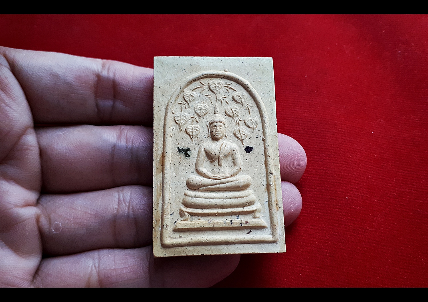 พระสมเด็จ พระปรกโพธิ์9ใบ หลัง พระแม่ธรณีบีบมวยผม พลิกชีวิตกลับดวงชะตา (หลังยันต์มงกุฎพระพุทธเจ้า ยันต์ครู ยันต์ดวงแก้วพระสีวลี) - ปลุกเสก วัดระฆังโฆสิตาราม ปี2563