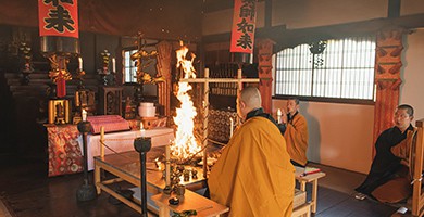 ลิปบำรุงริมฝีปากผสมซากุระ ParaDo Sakura Veil Lip (PK04 Happy & Sparkling Cherry Blossoms)