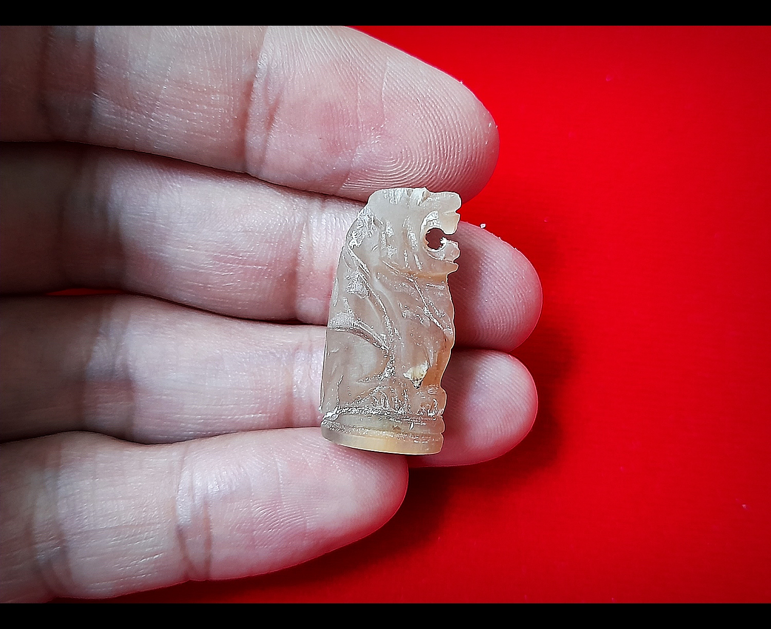 เสือ พยัคฆ์พรหม(กันชงแก้ชง) แกะสลักจาก เนื้อเขาควายเผือกแท้ ปี2564 (จารย์ยันต์และอุดเม็ดกริ่งมวลสารทุกองค์) #รับประกันแท้ - หลวงพ่อหนุน วัดพุทธโมกข์