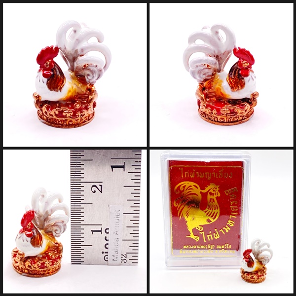 ไก่ฟ้าพญาเลี้ยง ไก่ฟ้ามหาเศรษฐี (เนื้อมหาเดโชลงยาสีอีนาเมลหางขาว) หลวงตาน้อย สำนักสงฆ์ป่าปวงตึก หลวงปู่ศิลา (หลวงปู่มหาศิลา)